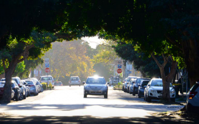 Greening our city