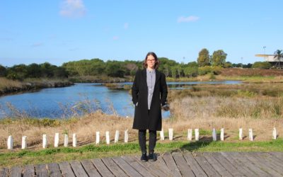 Protect Bayside’s beautiful wetlands