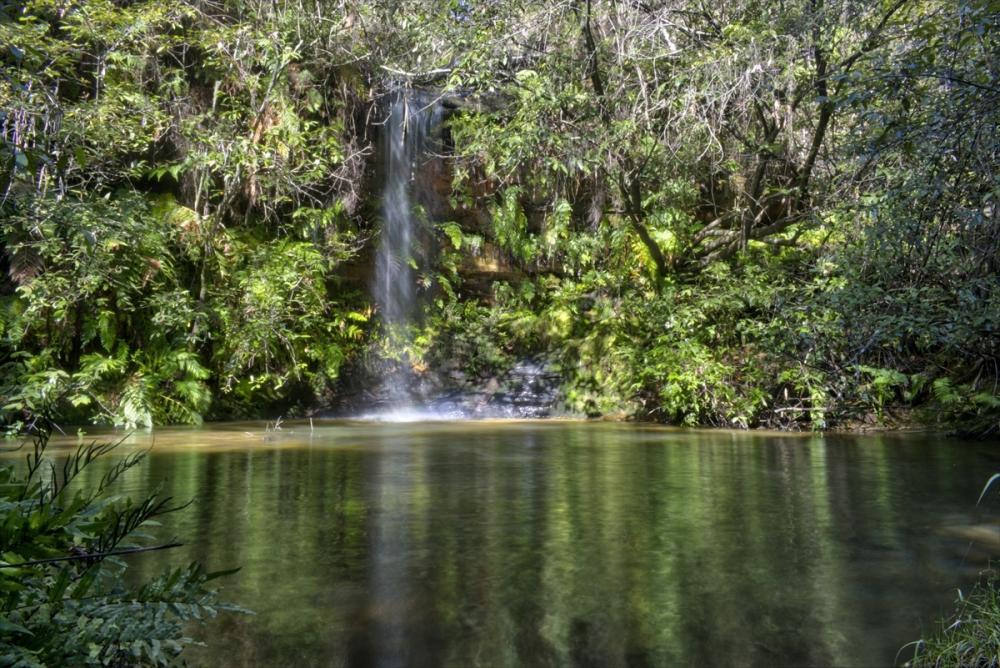 Protect Grassy Head Picnic Area