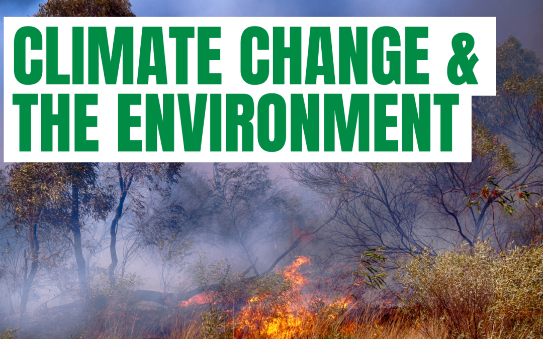 Climate Change & the Environment