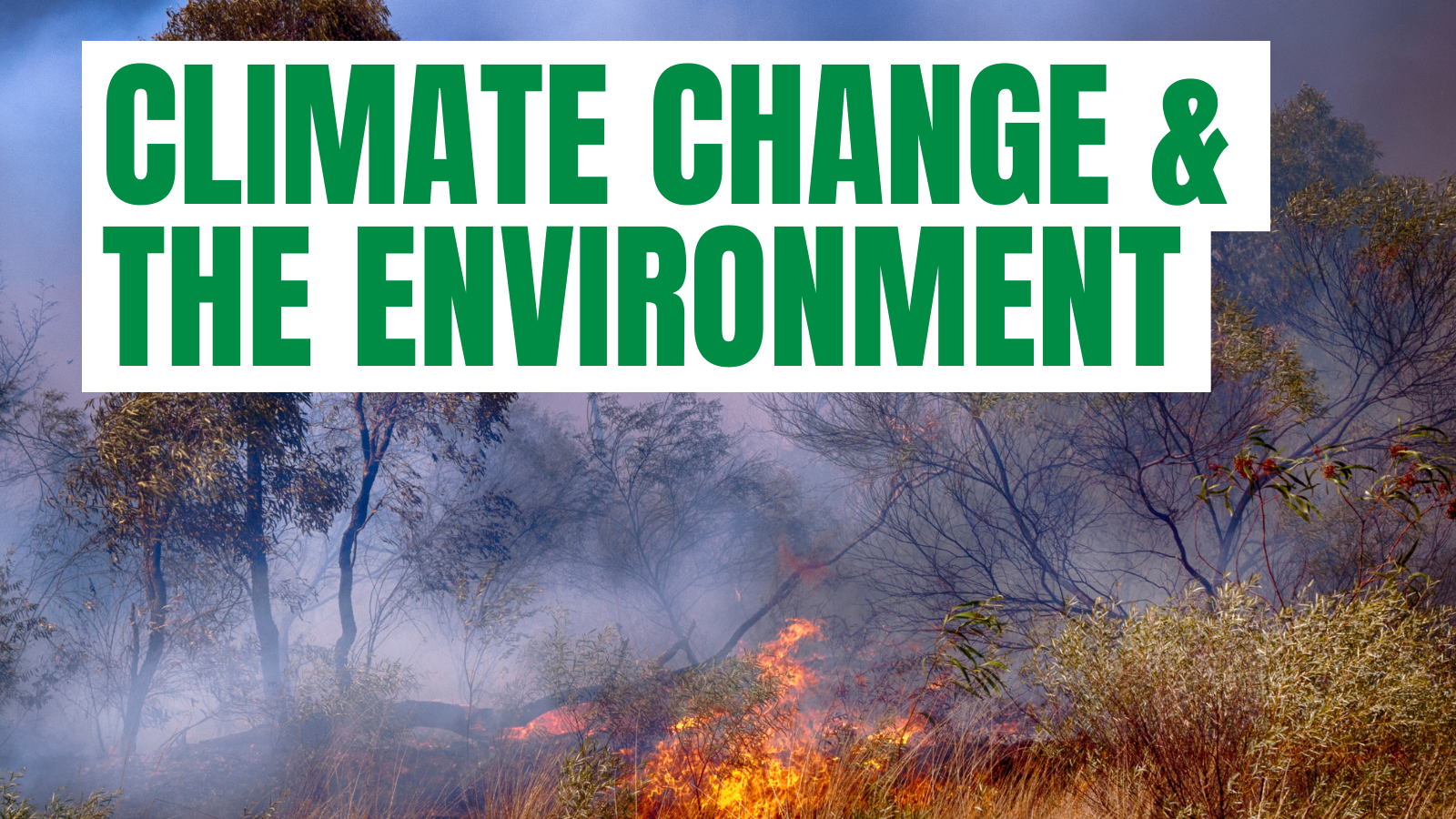 Climate Change & the Environment