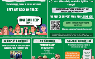 We need your help to get the Bellingen Shire Council back to focusing on the things that really matter.