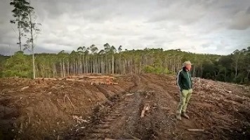 Dominic King standing in recently logged Tuckers Nob.