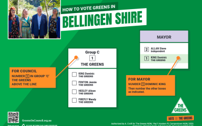 The Bellingen Greens policies