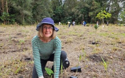 January 2026 – Nola Firth