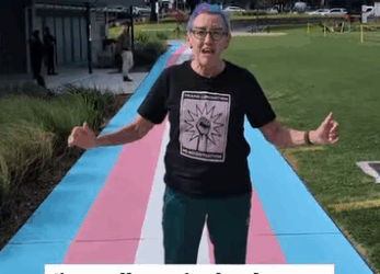 My Journey to the Greens – Liz Atkins, Inner West Greens Councillor