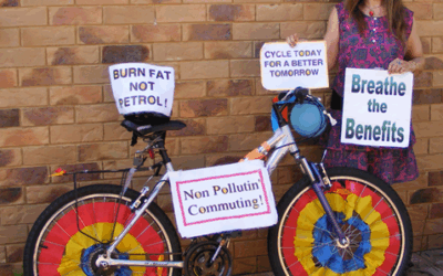 From Bicycle Advocate & Statistical Consultant to Greens Councillor